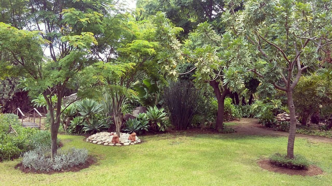 Beyond Cui Bono Guesthouse 阿多 外观 照片